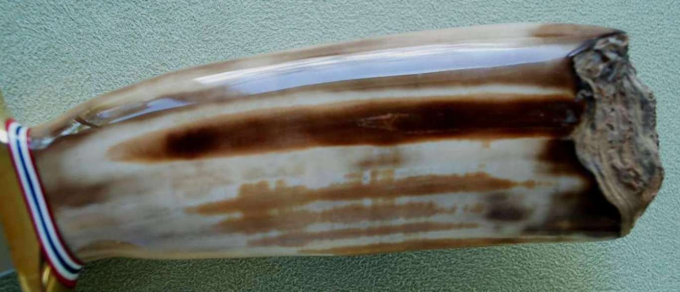 #1-8 (fossil artifact) handle front.JPG